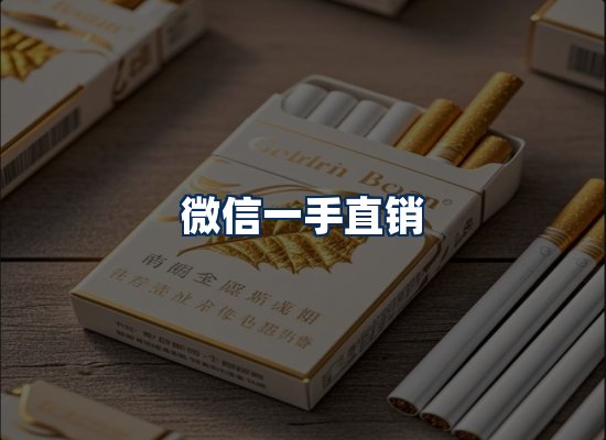 专业团队办公环境